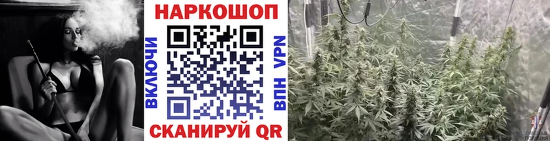 Где купить Сковородино Марихуана  A-PVP  Метадон  Мефедрон  КОКАИН  Гашиш 