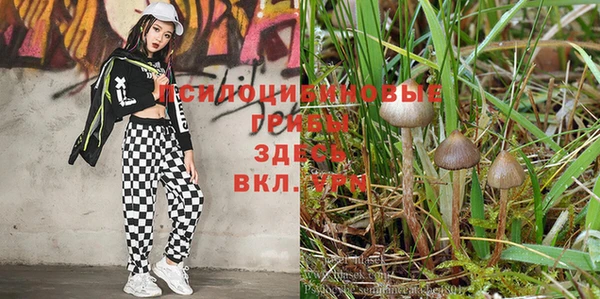 кристаллы Белокуриха