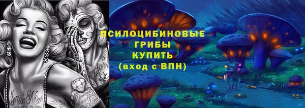 скорость Богданович
