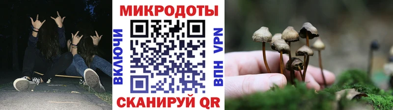 блэк спрут онион  Сковородино  Псилоцибиновые грибы GOLDEN TEACHER  где найти  