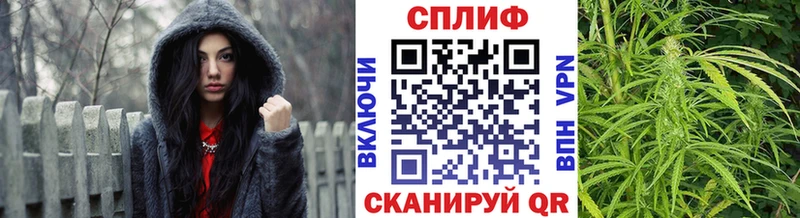 Конопля MAZAR Сковородино